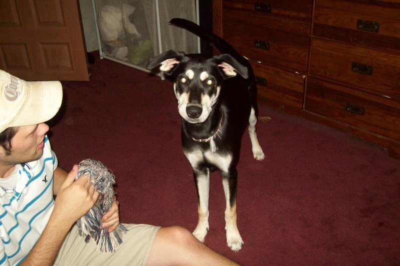 more of Sybil and misc 020.jpg
