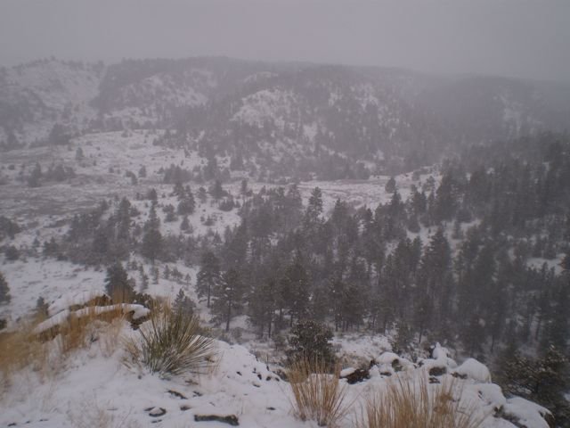 moresnow_zps22fcb3de_c9a57878d29ae0665caae618168f504af164209e.jpg
