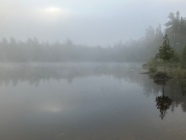 Morning Fog.png