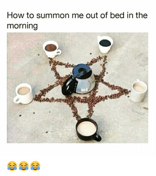 morning.jpg
