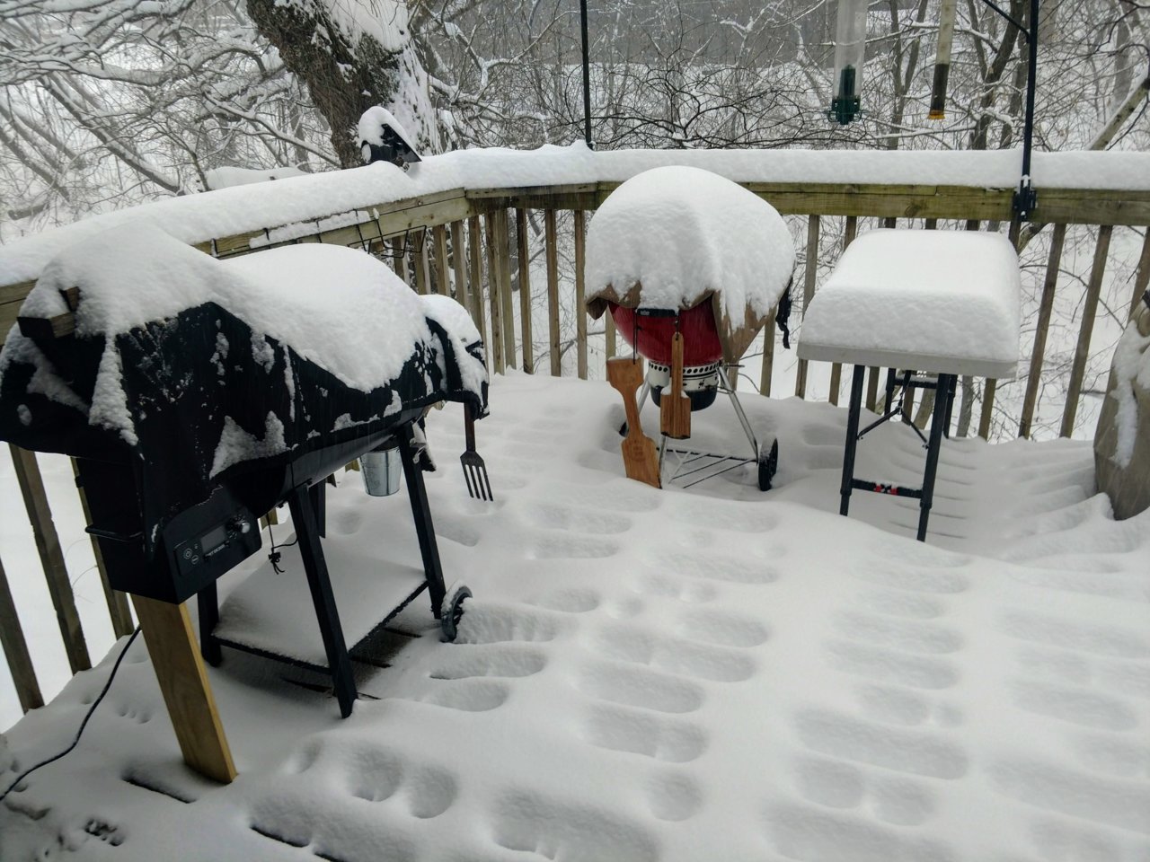 morning snow.jpg