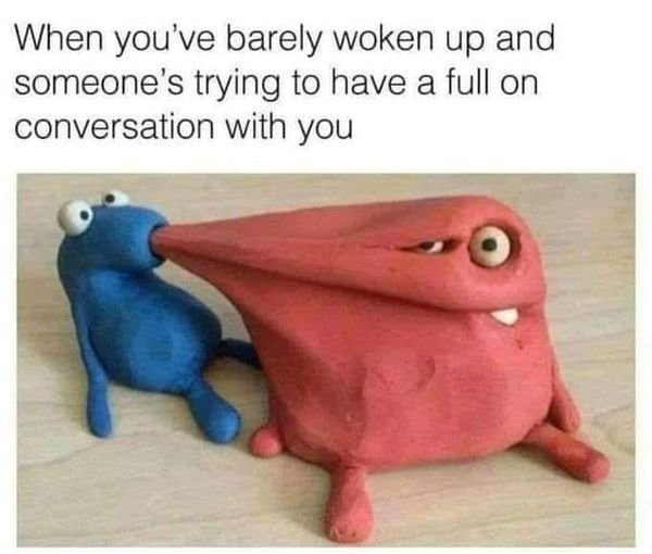 mornings.jpg
