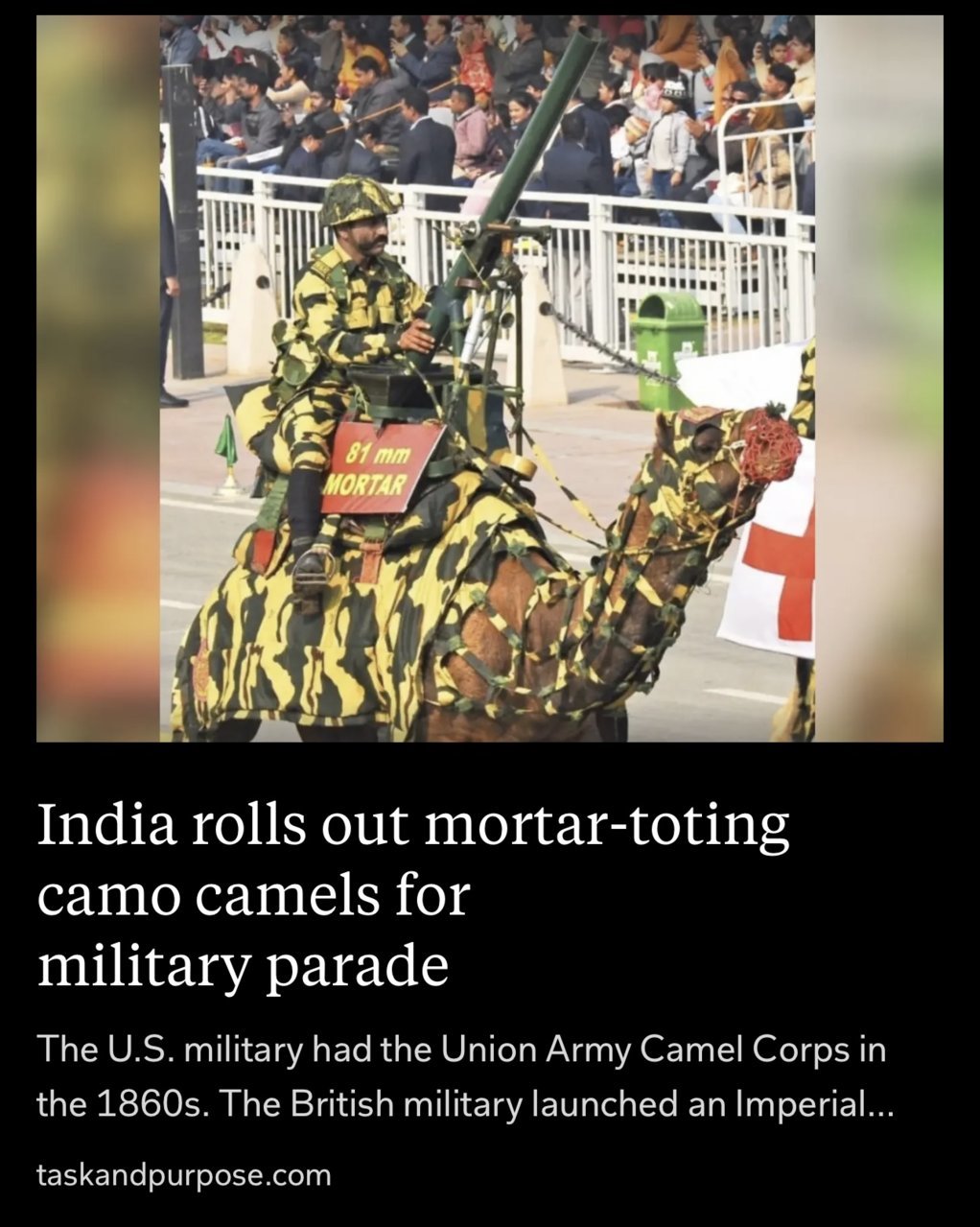 mortar camel.jpg