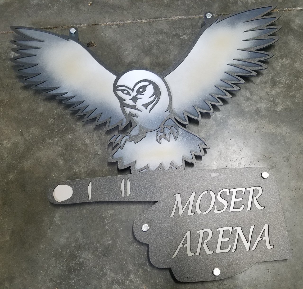 Moser Arena 3.jpg