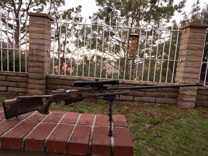 mosin2.jpg