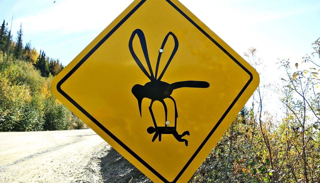 mosquito-carrying-person-sign_1600.jpg