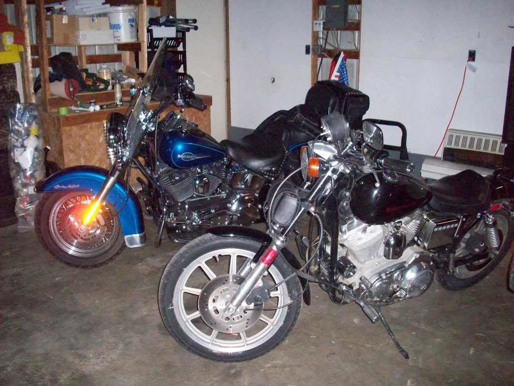 mosylyharley004_fa6abc81c8b54905a51a127fae6e2c44ad34bf04.jpg