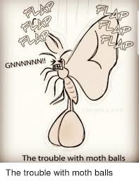 Moth's balls.jpg