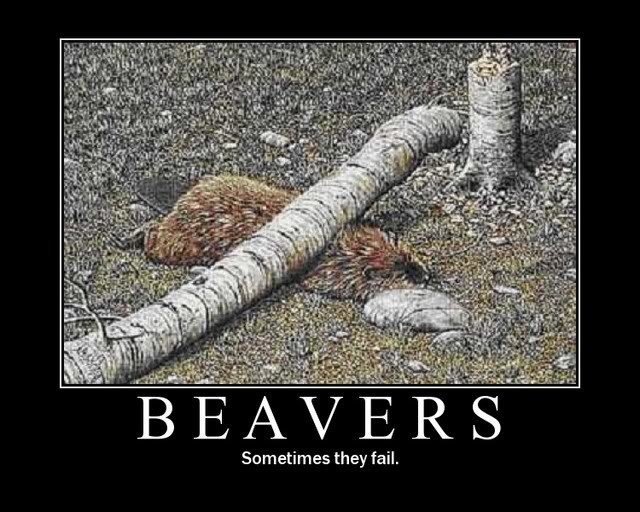 MotivationalPostersometimesbeaversf_fa61ba29d03121e7cb7fb6513be32f9432fd74e6.jpg