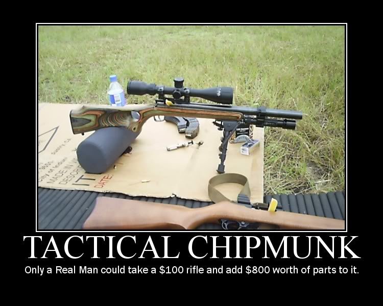 motivatortacticalchipmunk_78a0efaebcf015247e6e937986ff2eb9066c7673.jpg