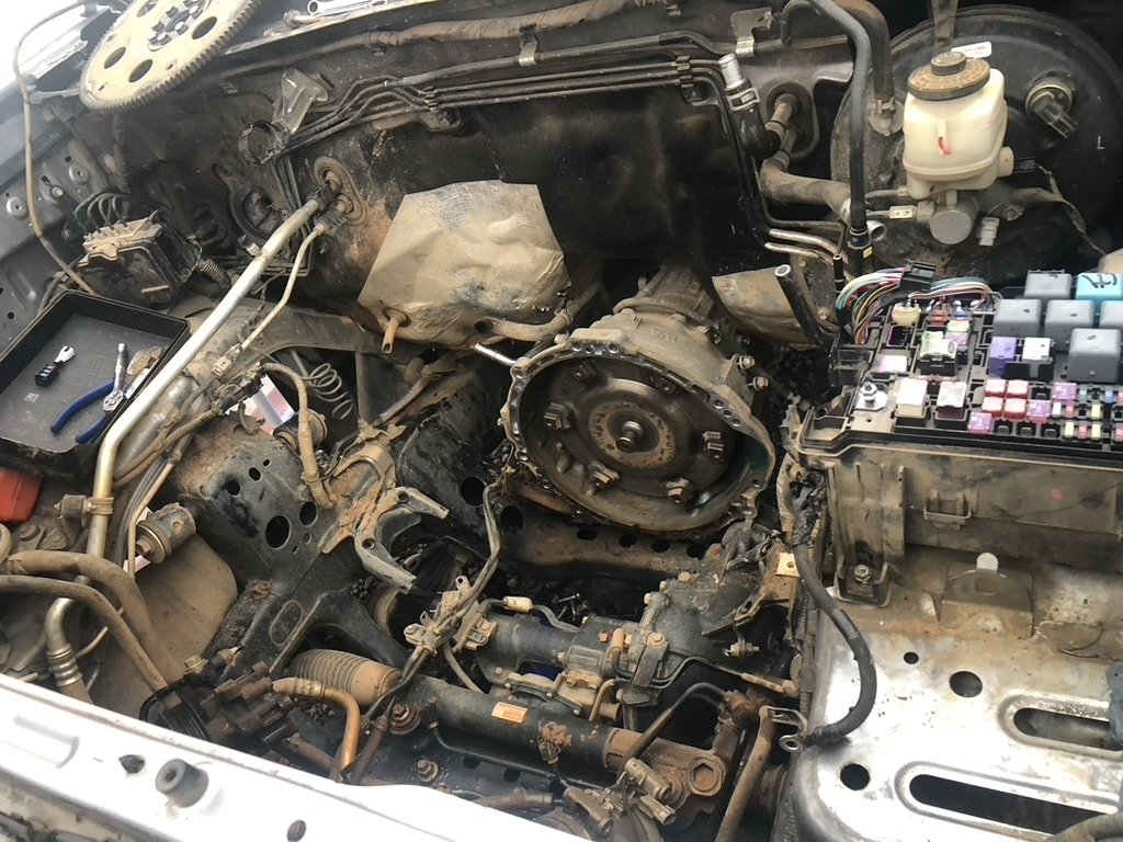 motor_out.jpg