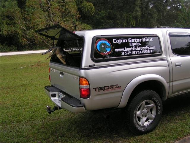 Mounted Gator 003.jpg