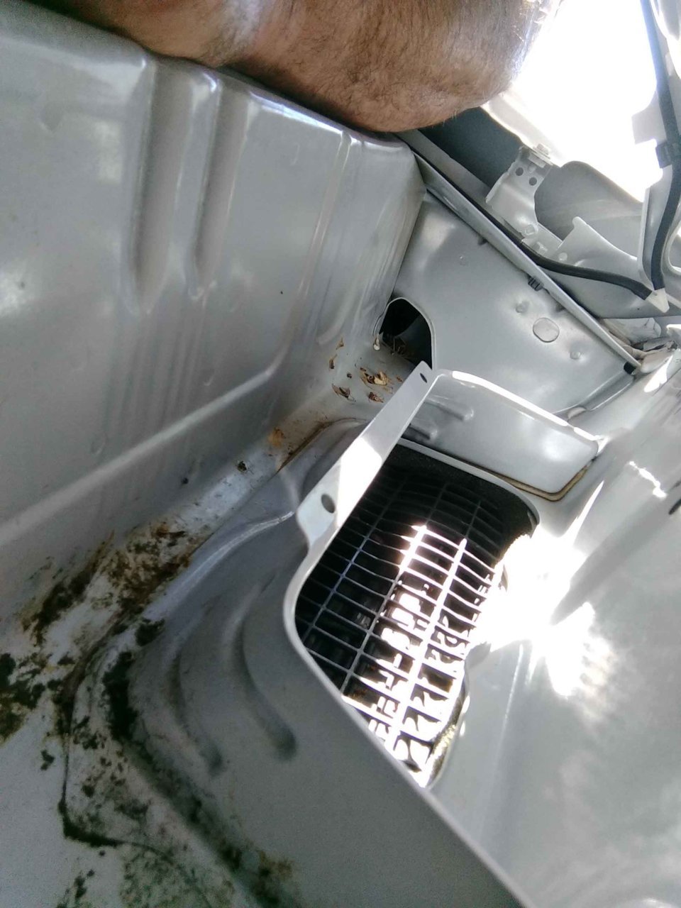 Mouse Hole -1.jpg