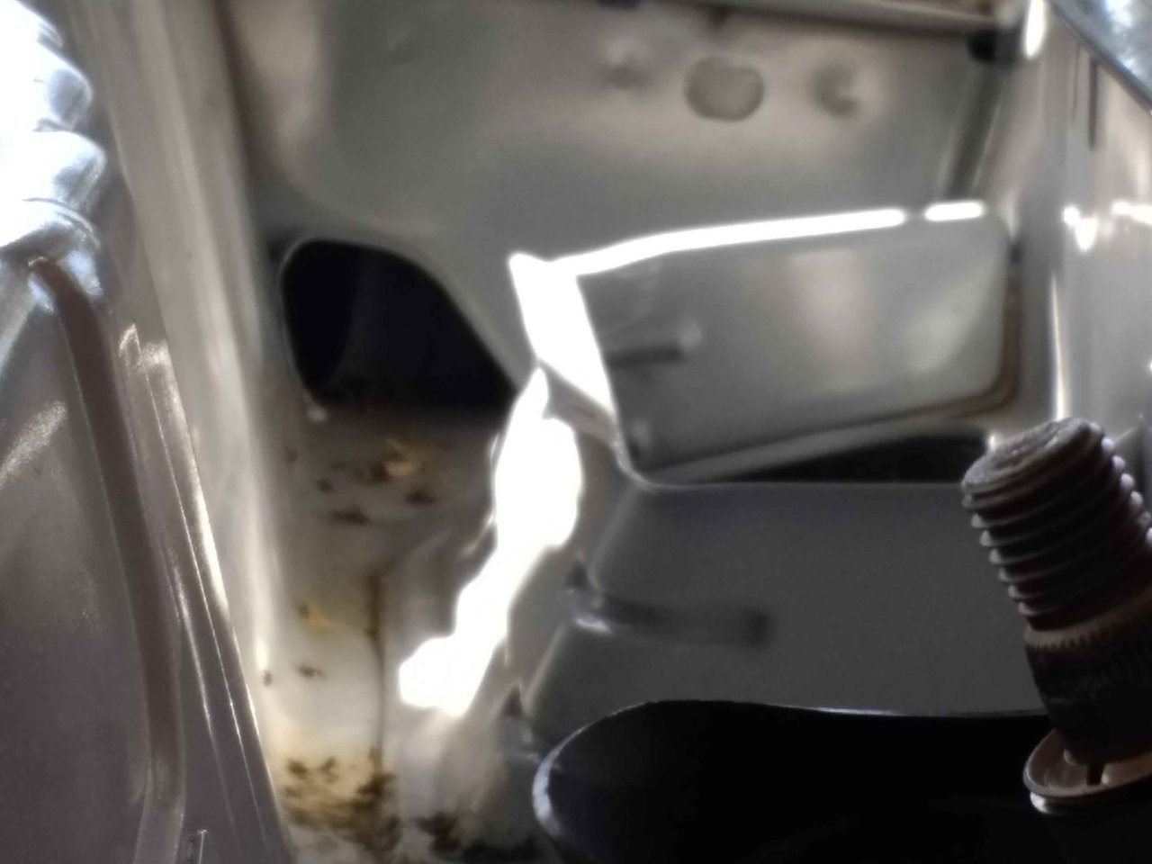 Mouse Hole -3.jpg