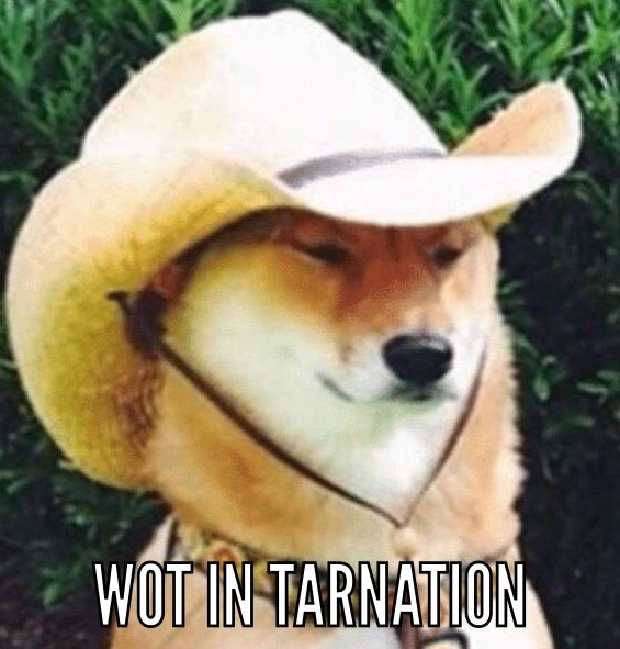 mowqPc9.jpg