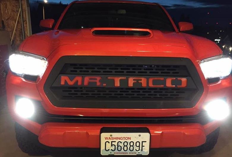 mr taco.jpg