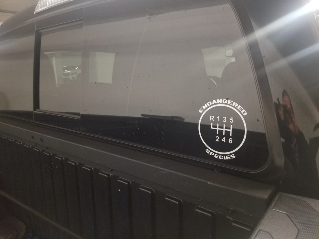 MT sticker taco.jpg