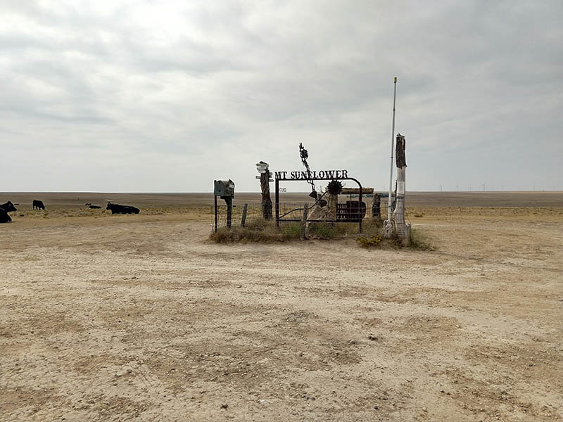 Mt Sunflower.jpg