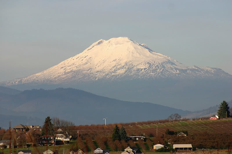 mtadams_1fe0320bfaada6803b1234e65b57b0f466e376a7.jpg