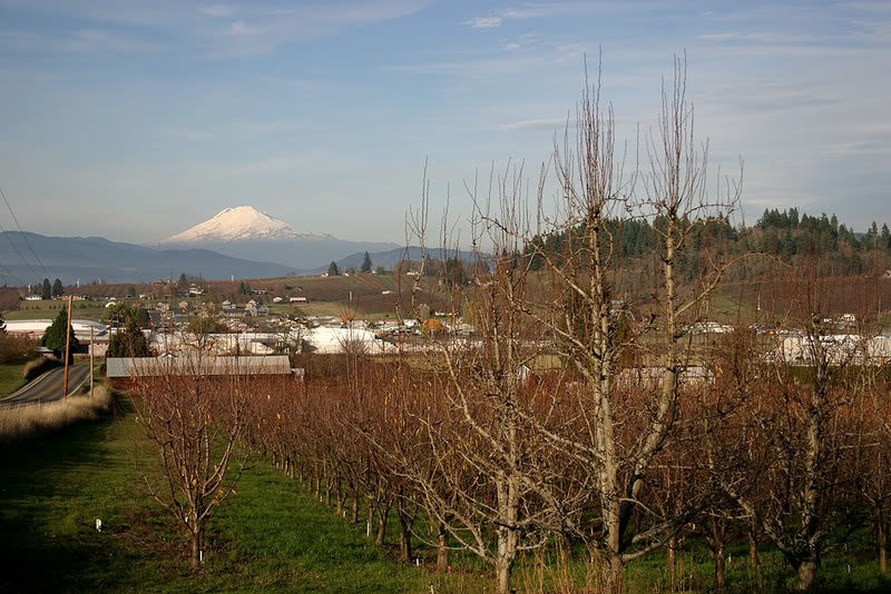 mtadamsscenery_58159bdfe4ac7d4ea88bc2830c4063d3e01cce7d.jpg