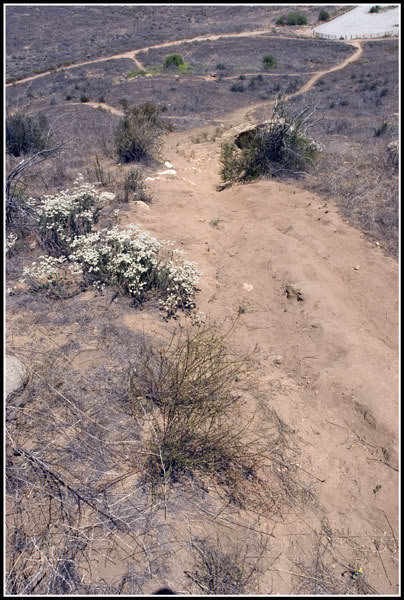 MTB-1_4b8d01314ab044979781bc33ddaecc09f7d72e87.jpg