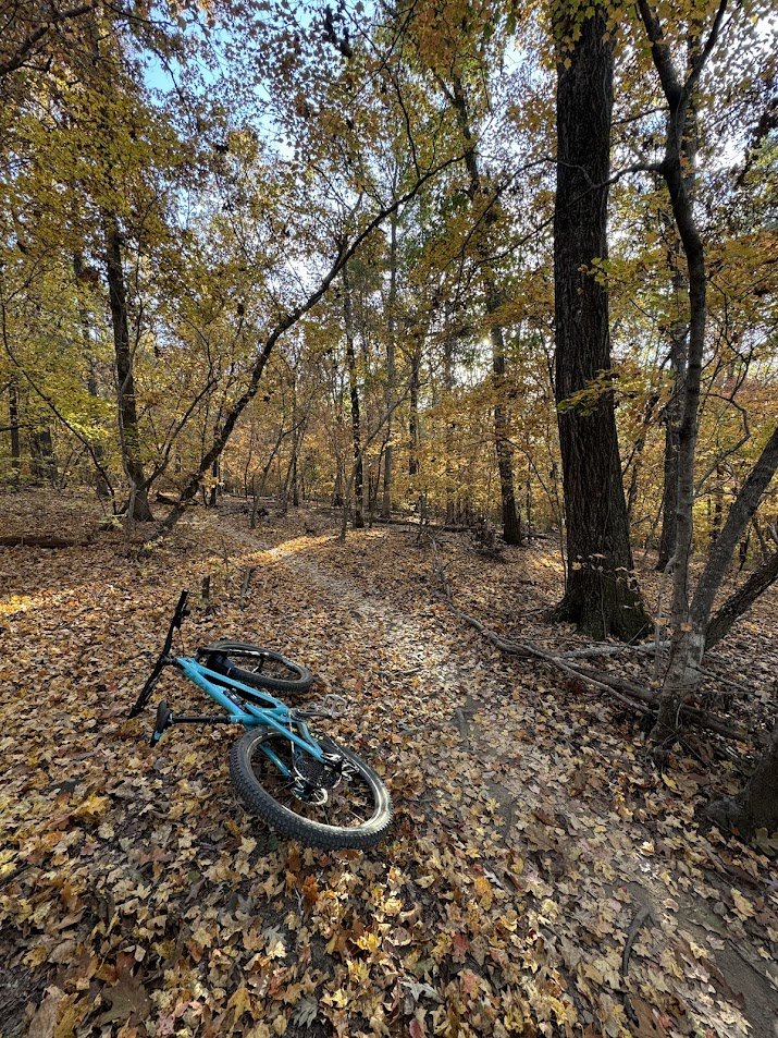 mtb1.jpg