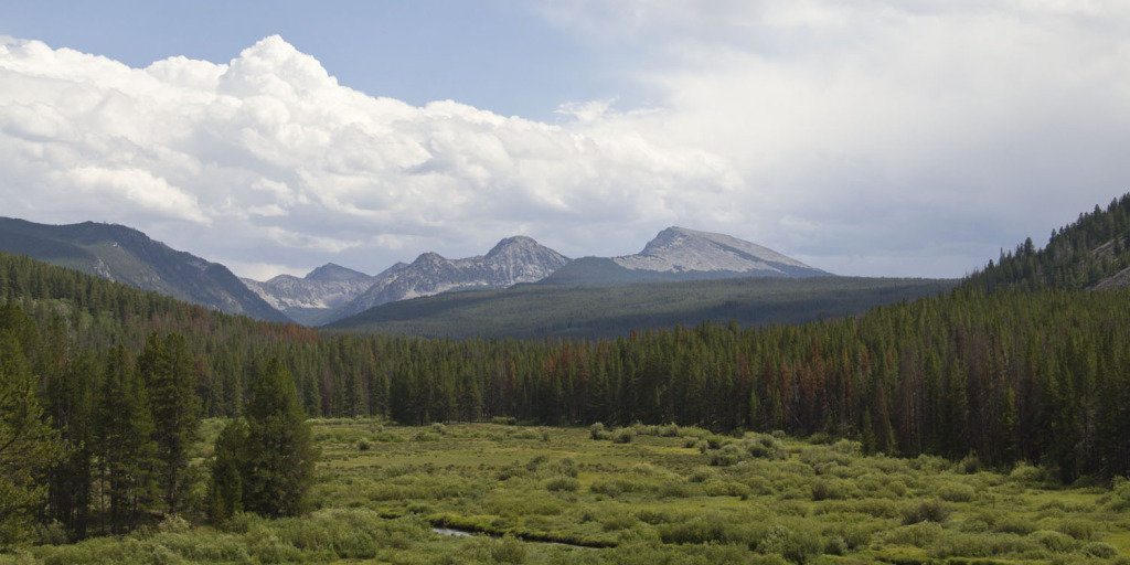 mtns_6f830fbbcf2f97b5728f0fb0548ef3c2130c094b.jpg