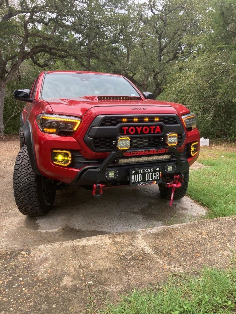 Mud Digr.jpg