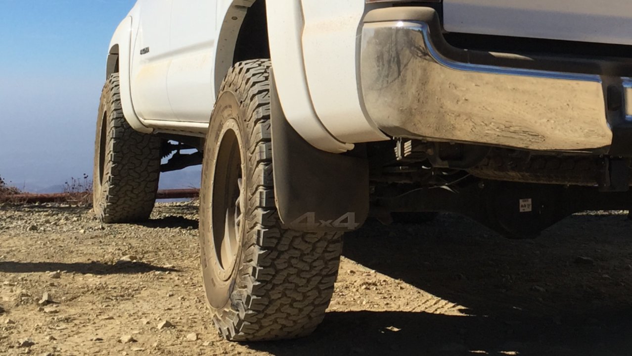 mud flap.jpg
