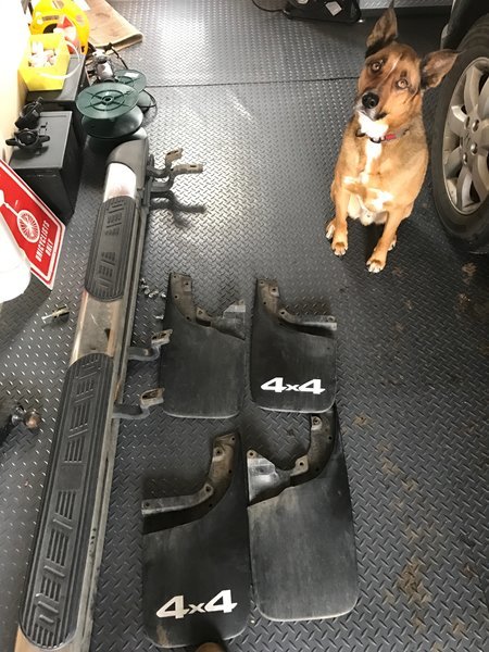 Mud flaps and steps.jpg