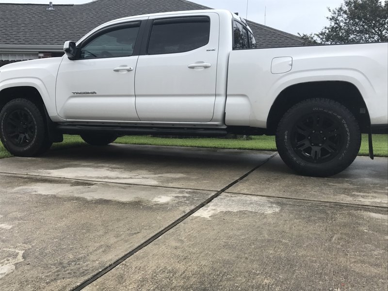 Mud flaps3.jpg