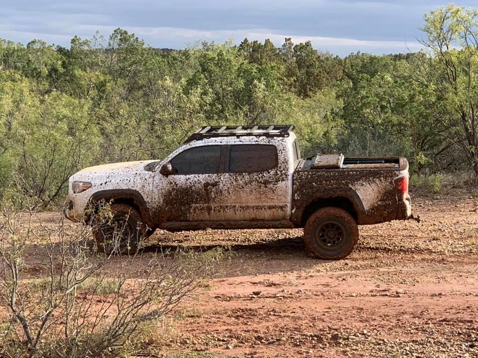 Mud.jpg