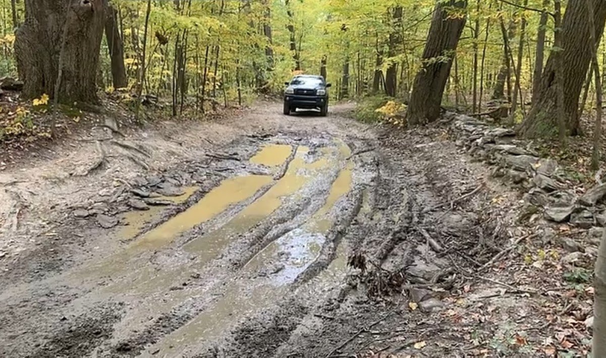 Mud.jpg