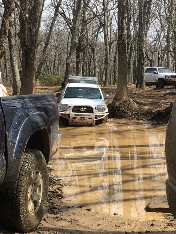 mud1.jpg