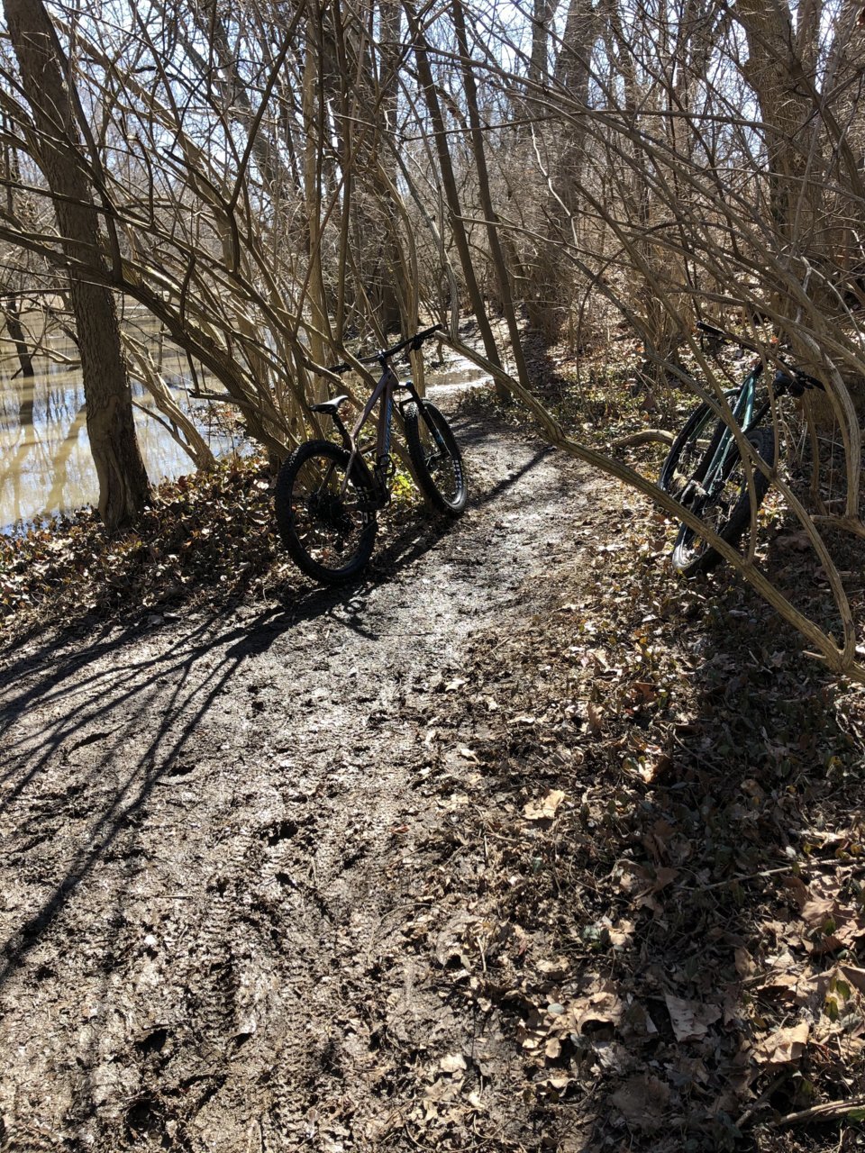 mud1.jpg