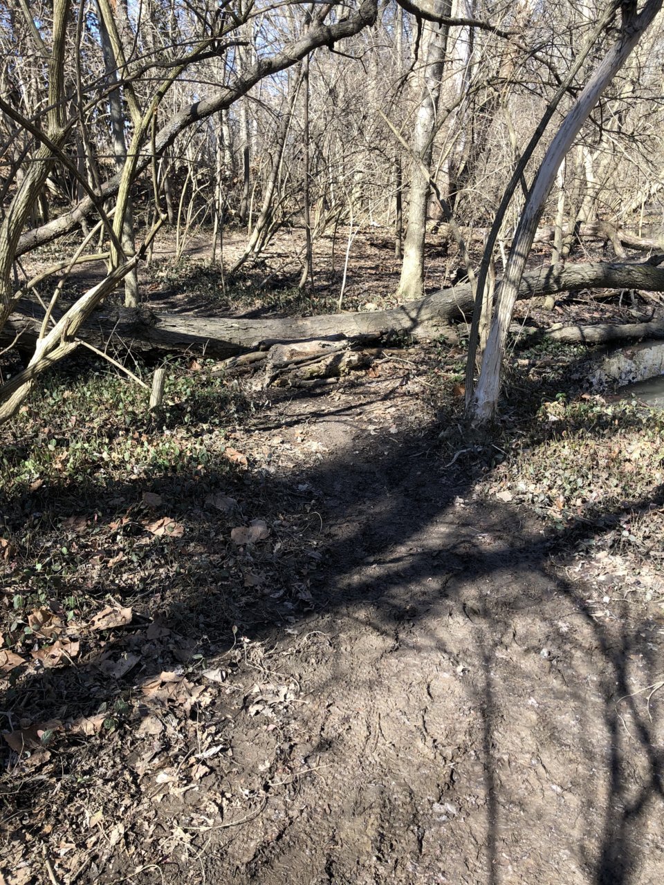 mud2.jpg