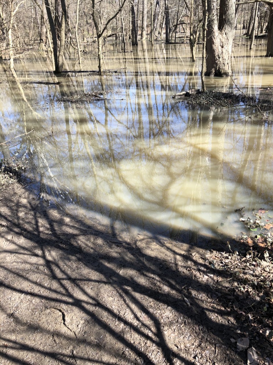 mud3.jpg