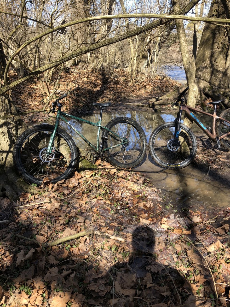 mud4.jpg