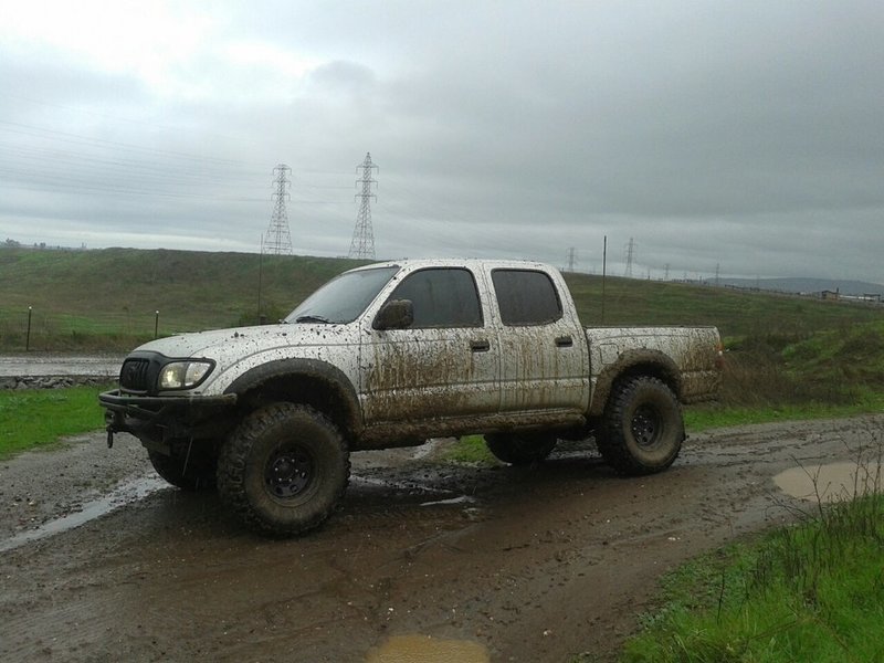 mudddy.jpg