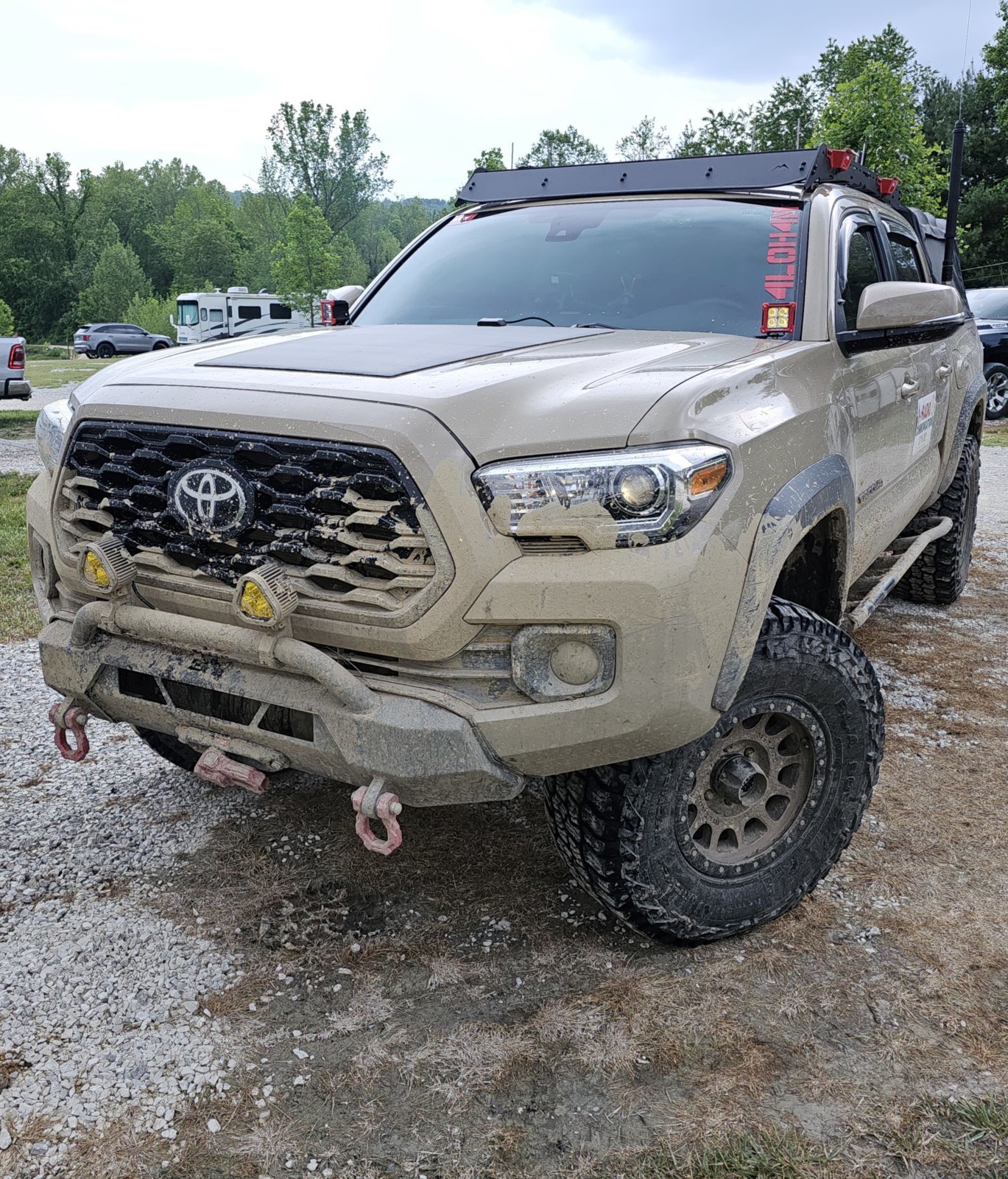 muddy-cropped.jpg