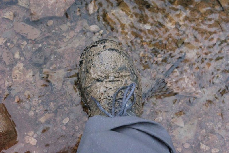 muddy.jpg