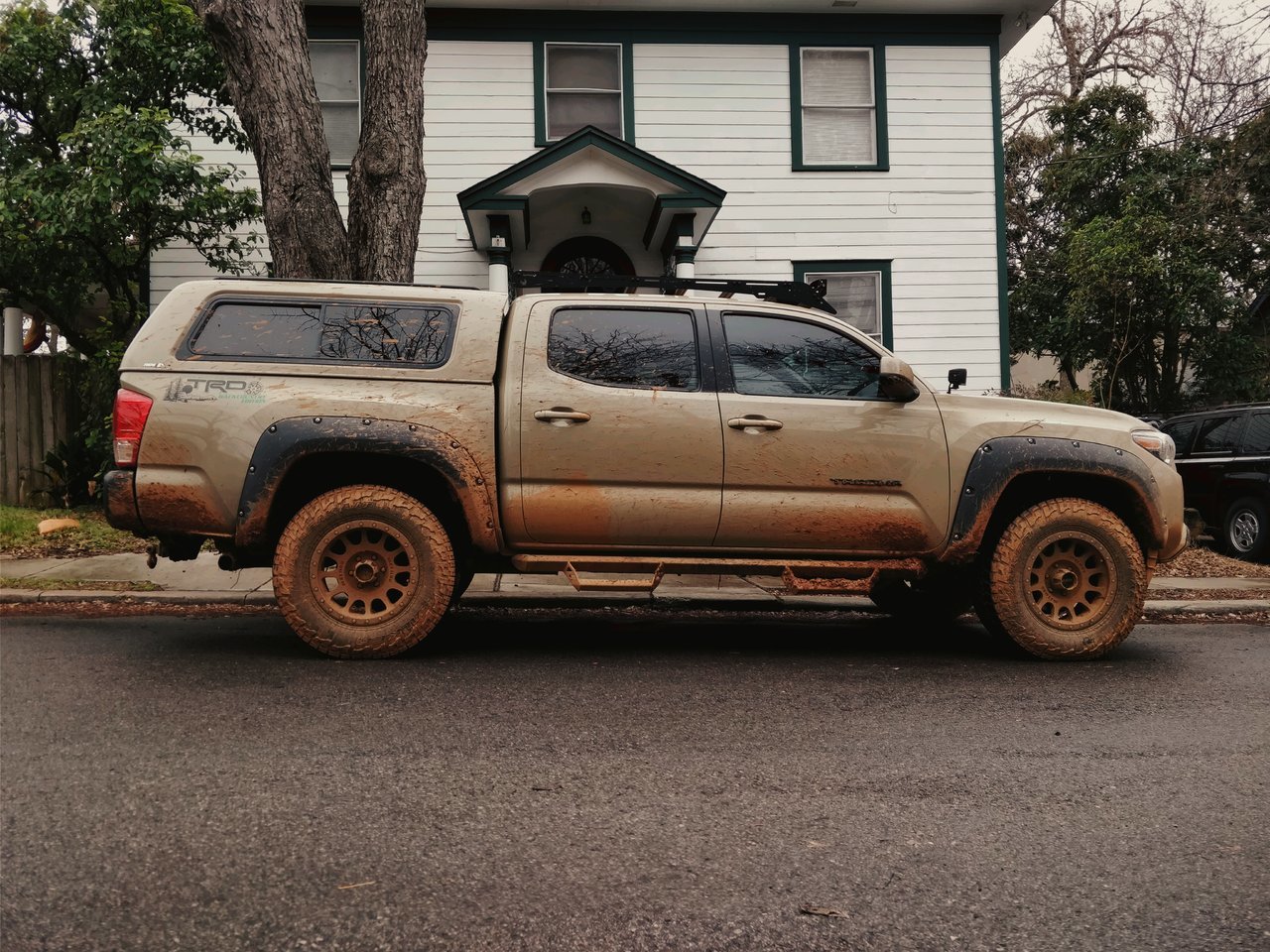 muddy.jpg