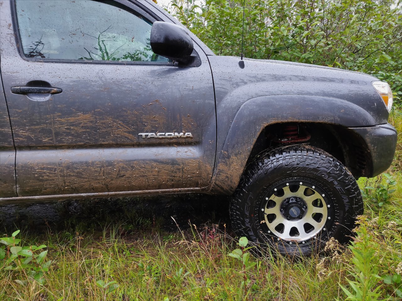 Muddy.jpg