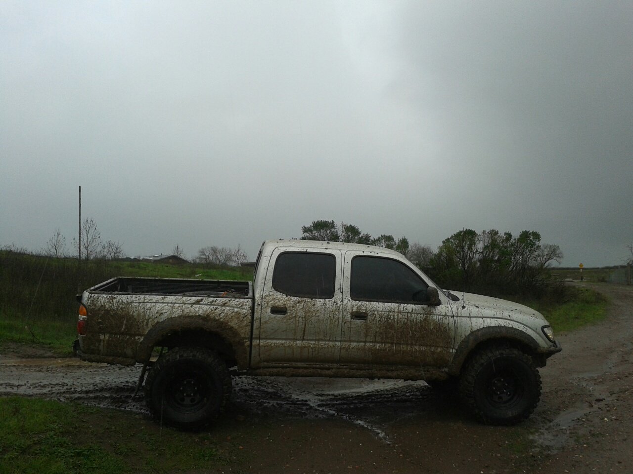 .muddy.jpg