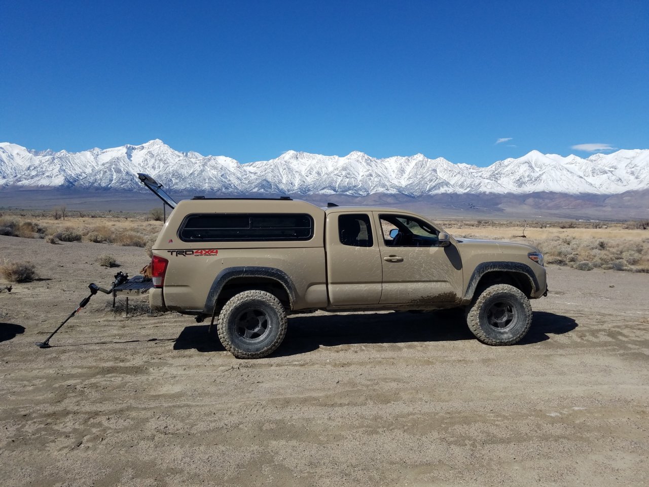 Muddy.jpg