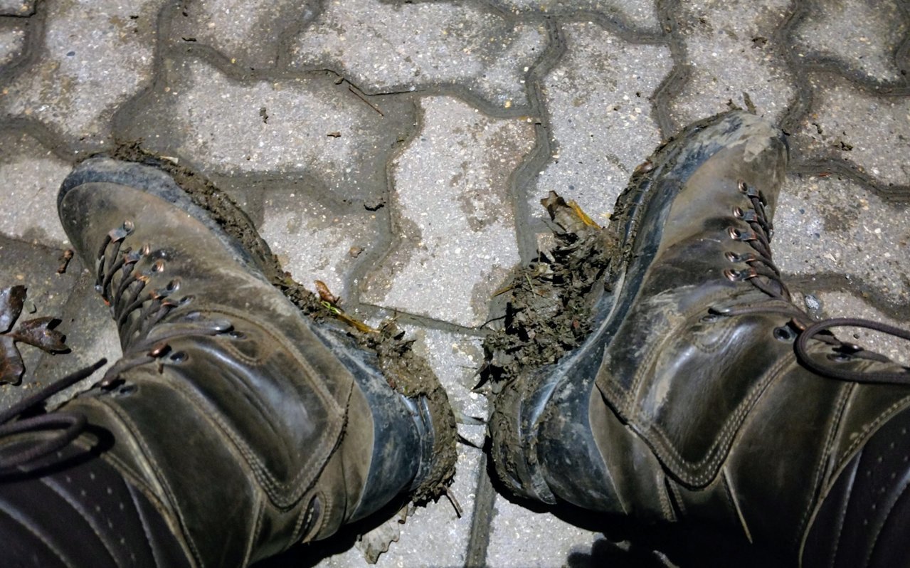muddy leaves.jpg