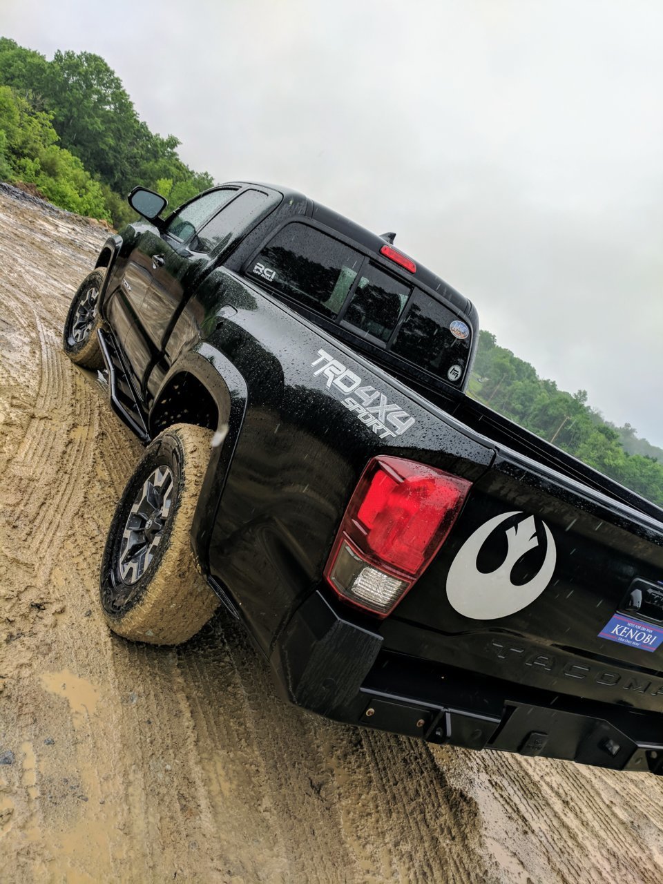 Muddy Rebel.jpg