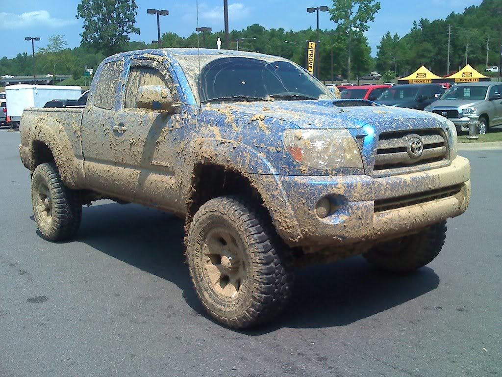 Muddy_e58bdf5759c14bf66325a5ab4cbbf364fcf8ecec.jpg
