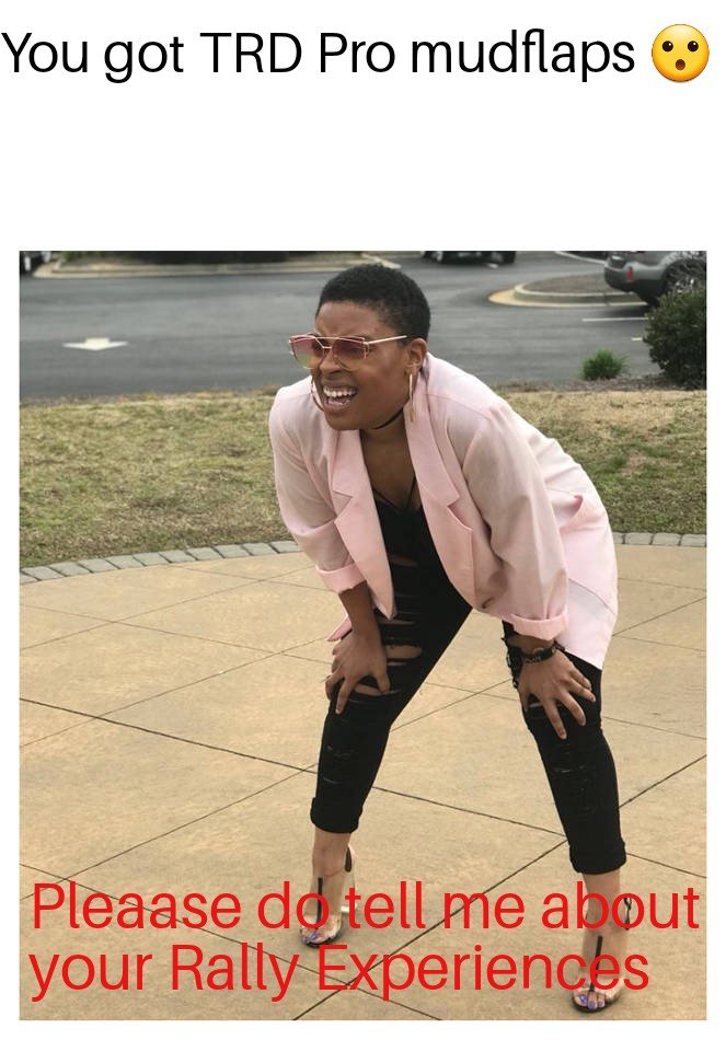 mudflaps.jpg
