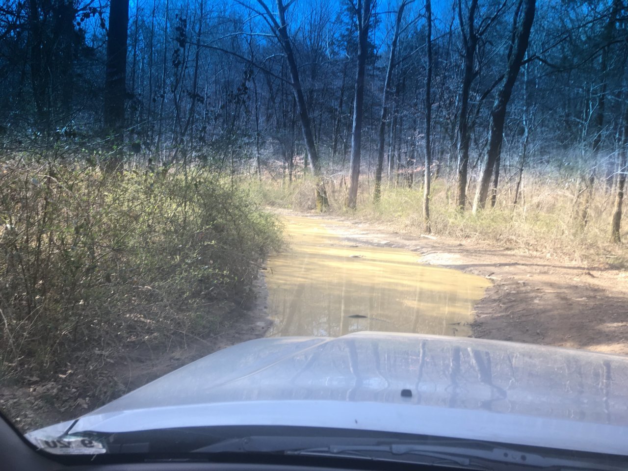 mudhole.jpg